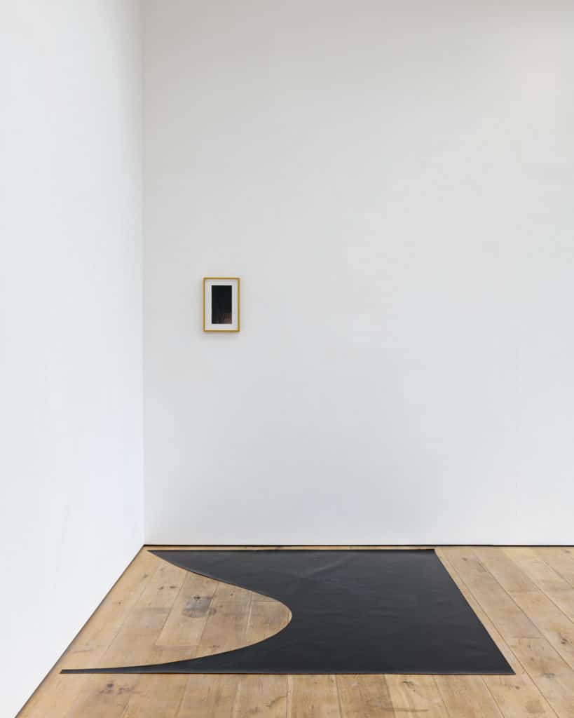 Sid Motion Gallery Exhibition: Tom Lovelace. Bathers.