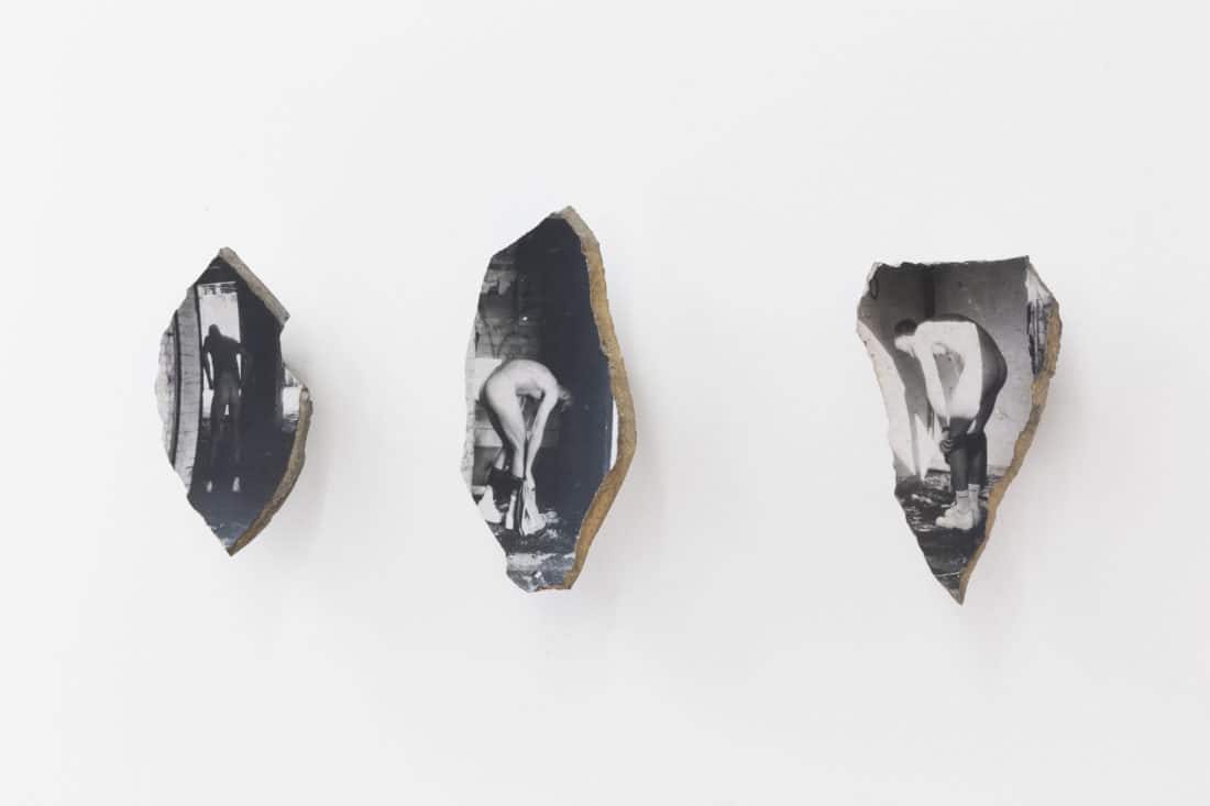 Sid Motion Gallery