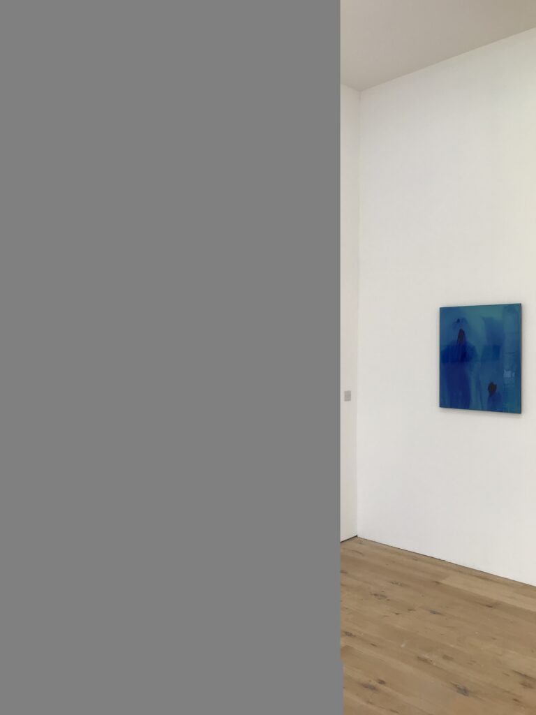 Sue Kenningtonand Fleur Simon_install 8