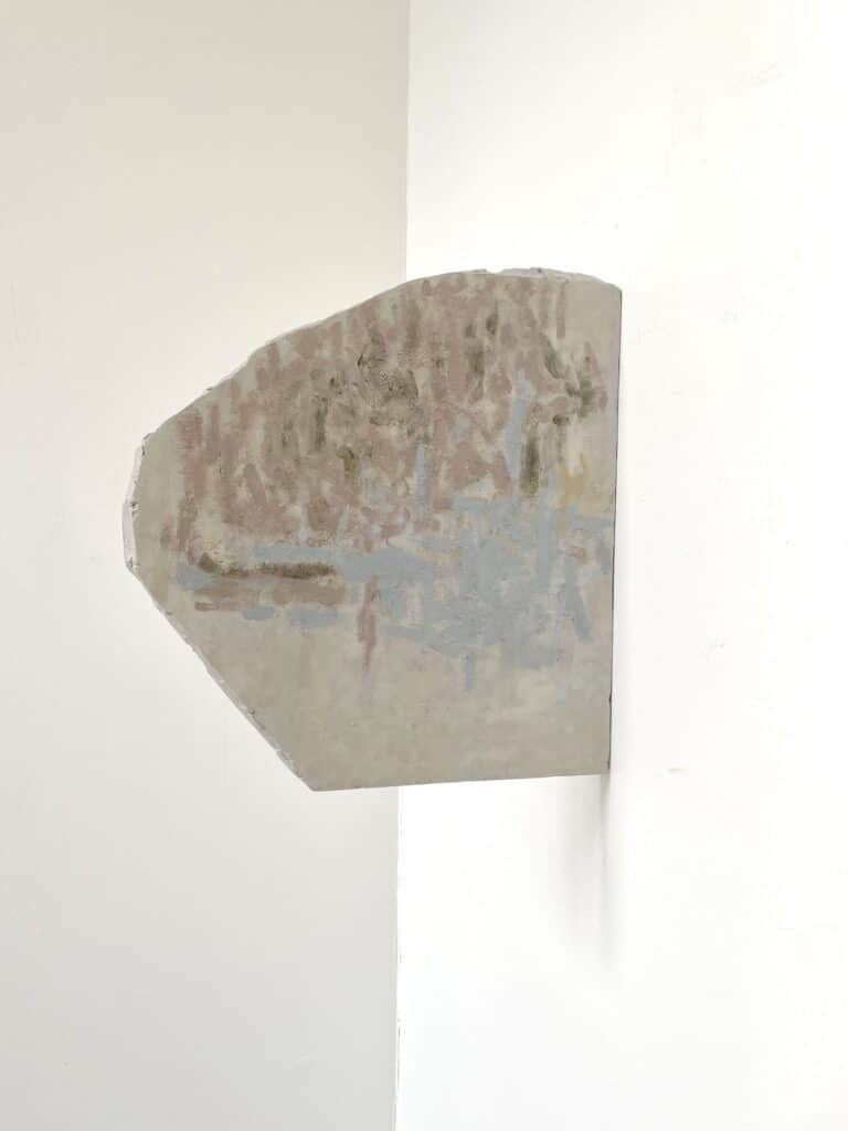 Tomoya Matsuzaki_Rachillae