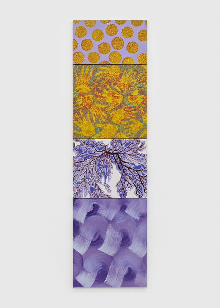 sm_ 19