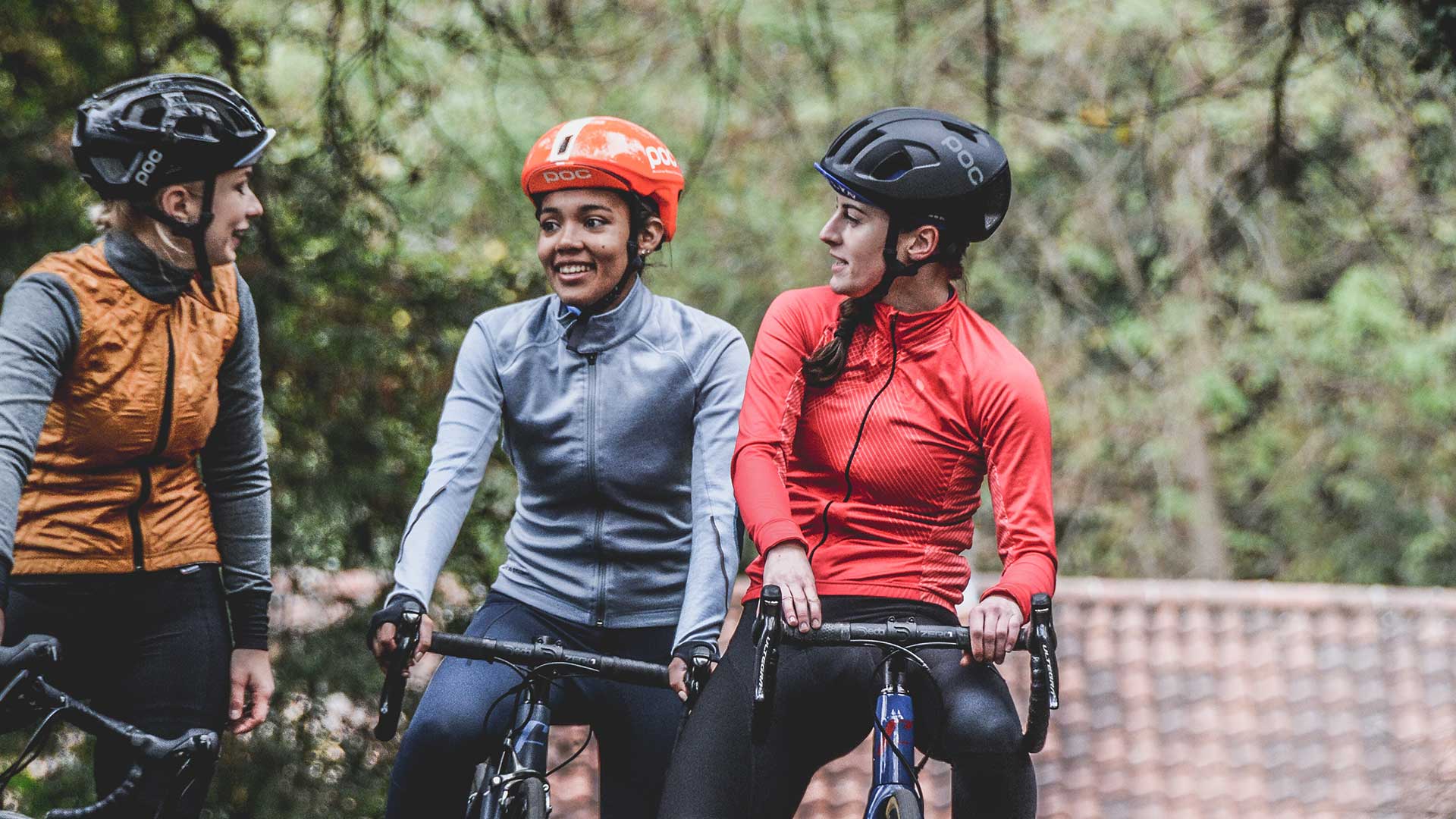 cycling-cake-the-stag