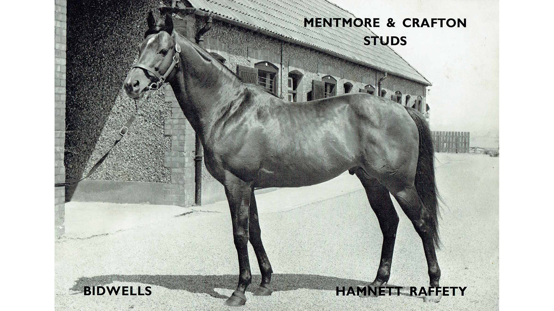 mentmore-crafton-studs