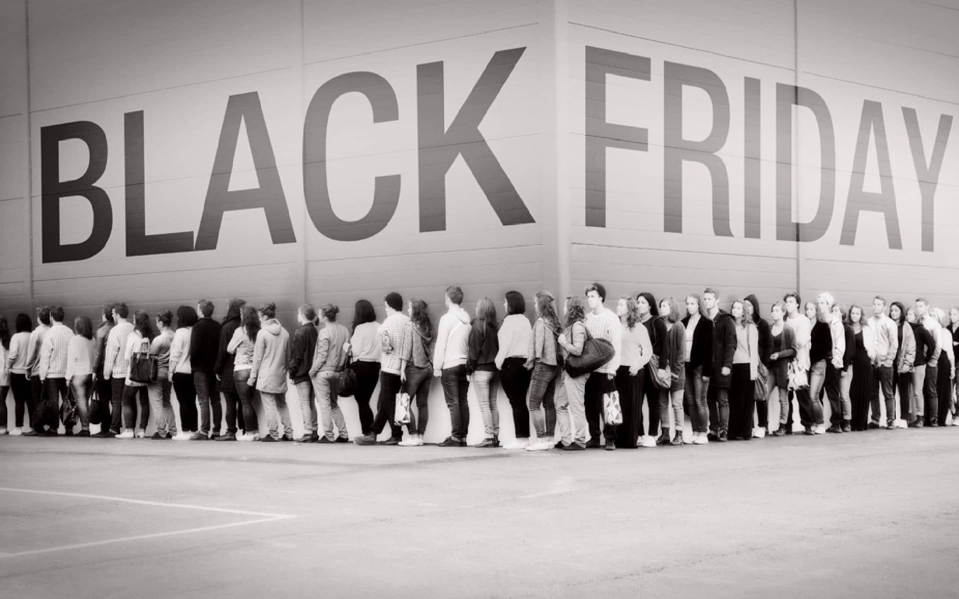 Purity - Shining a Light on Black Friday